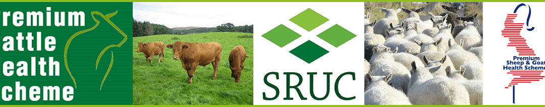 Premium Cattle Health Scheme