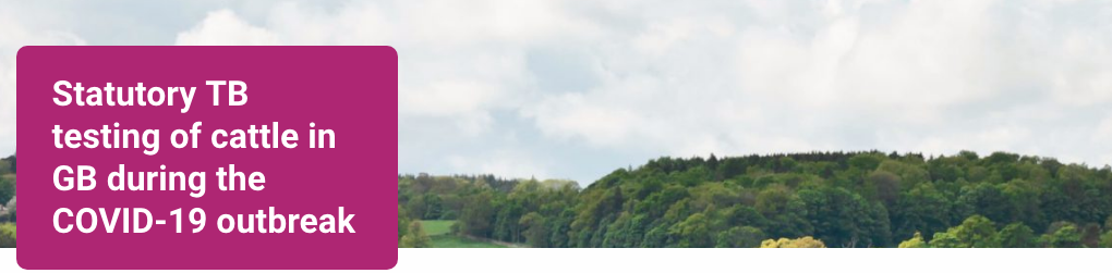 COVID-19: TB Testing in Wales