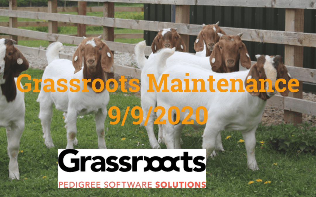 Grassroots Maintenance September 2020