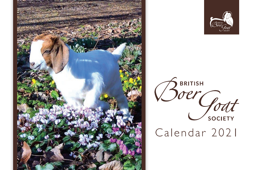 BBGS Calendar 2021