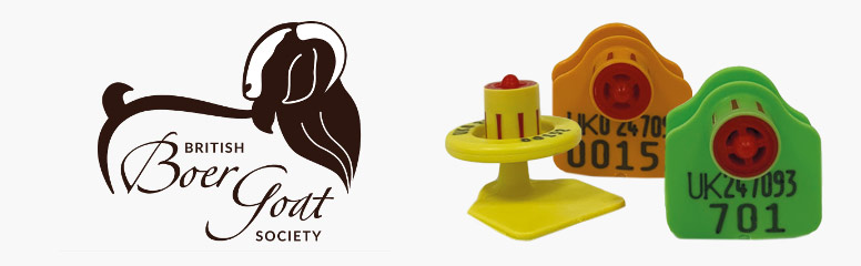 CAISLEY EAR TAGS OFFER