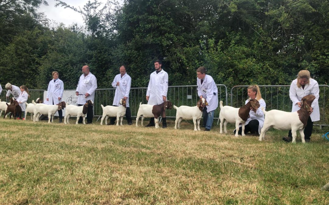 Hanbury Countryside Show 2022
