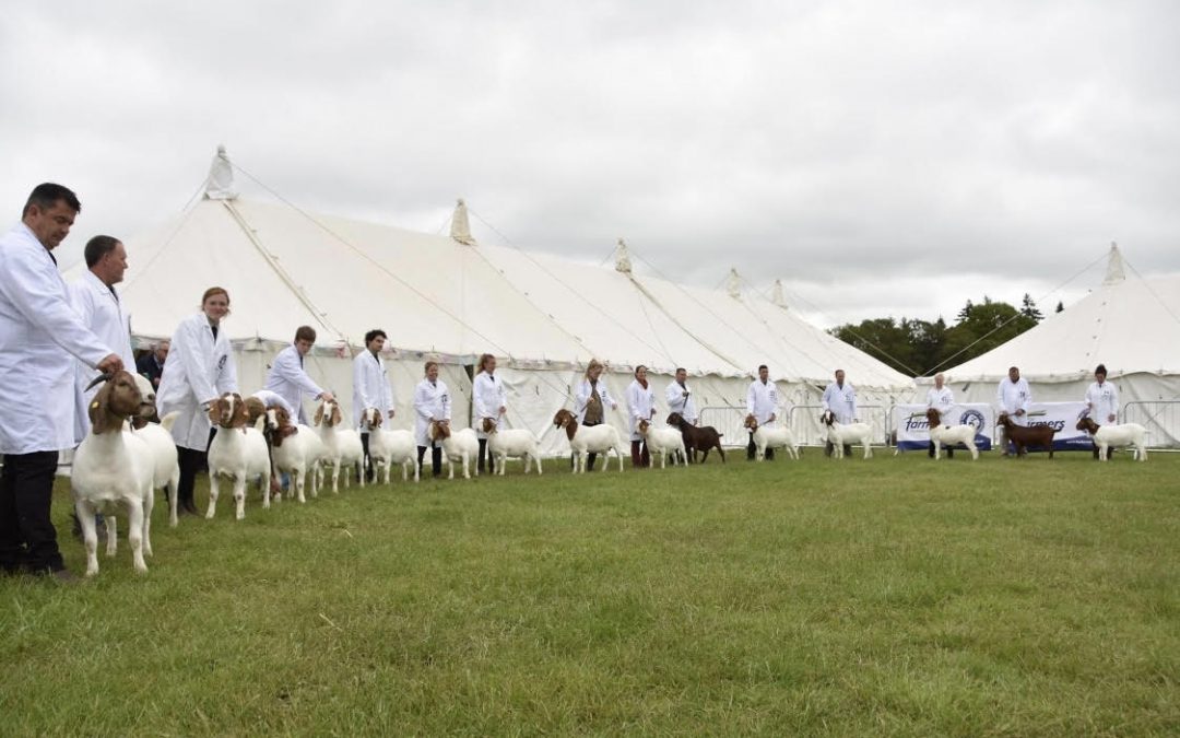 Royal Three Counties Show 2022
