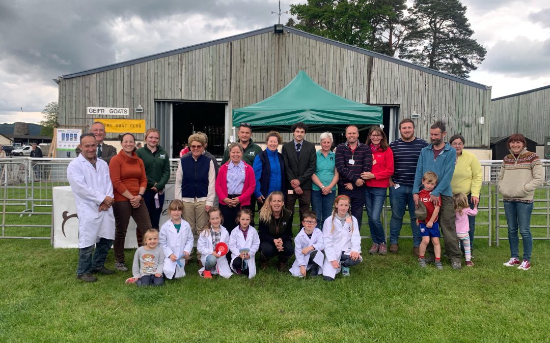 Royal Welsh Spring Smallholding and Countryside Festival
