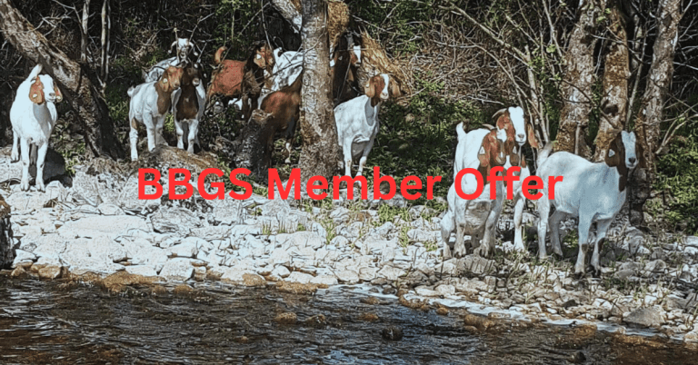 BBGS MEMBERS OFFER!!